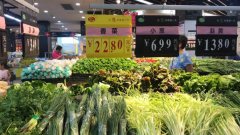 惠州農(nóng)副產(chǎn)品了解武漢種博會精彩亮相，秋季蔬菜展有31個(gè)新品獲專家推介