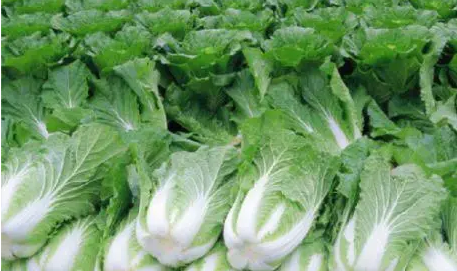 惠州送菜公司了解這種蔬菜潤腸通便還抗衰老 關于它的常見問題，一次說清！